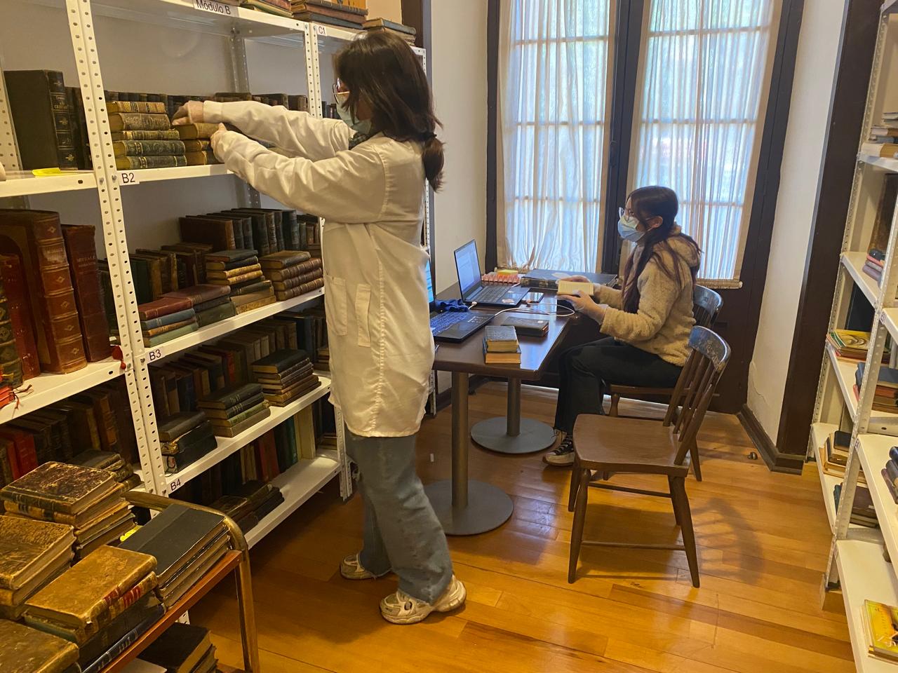 Imagen de WhatsApp 2025 03 26 a las 16.03.50 adf7e793