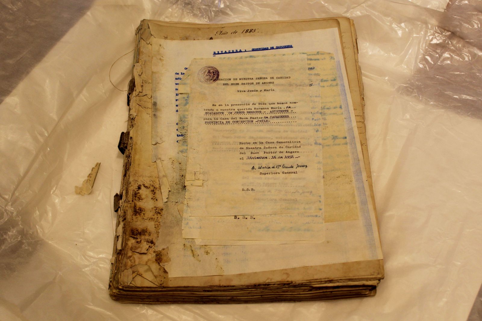 Imagen de WhatsApp 2025 04 22 a las 17.25.42 ee86abf7