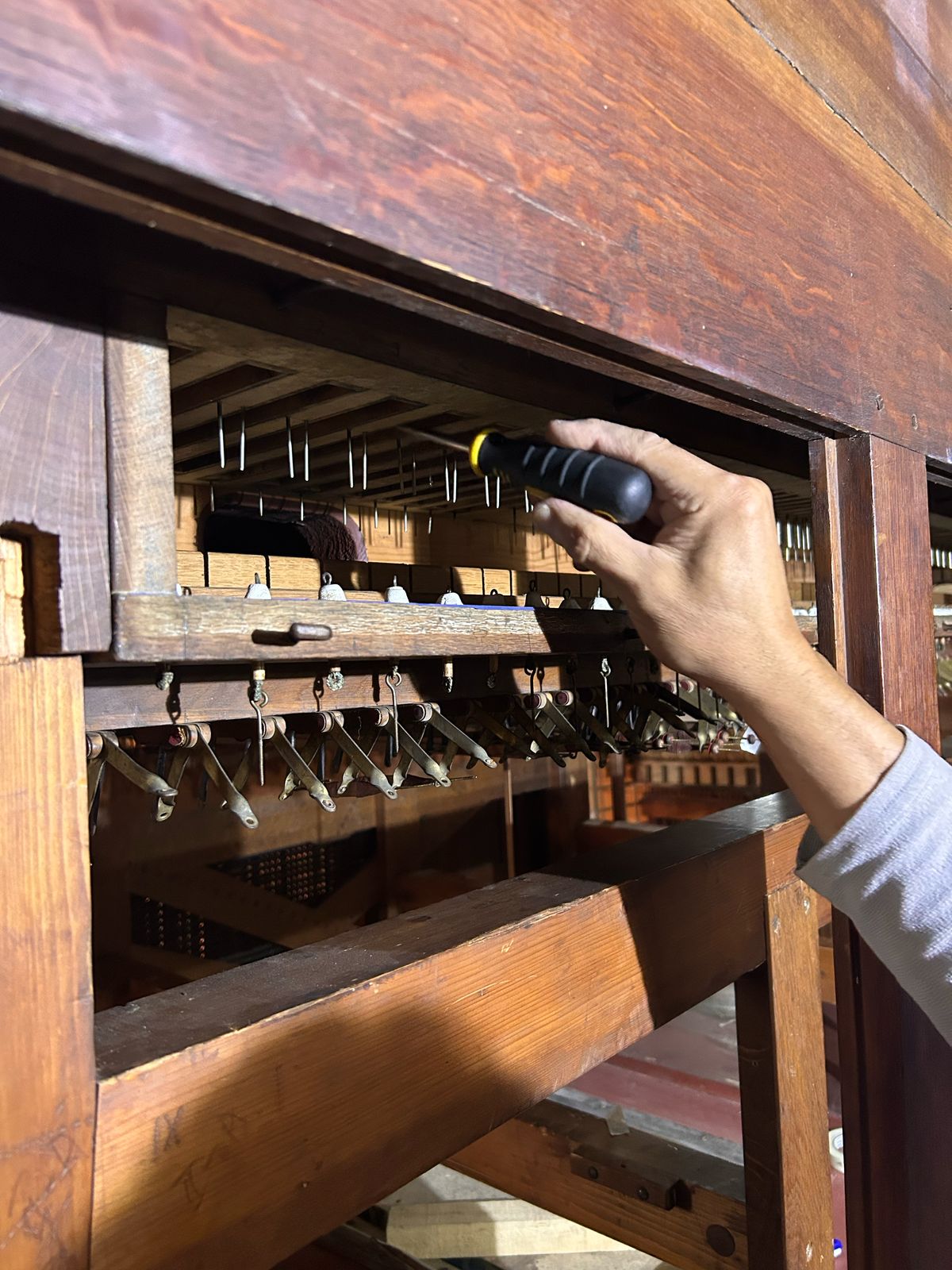 Imagen de WhatsApp 2025 03 26 a las 11.15.27 2401ce0d