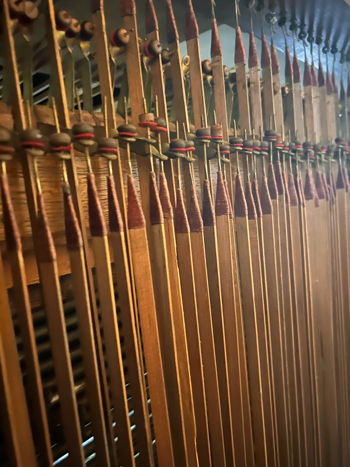 Imagen de WhatsApp 2025 03 26 a las 11.15.31 315f713c