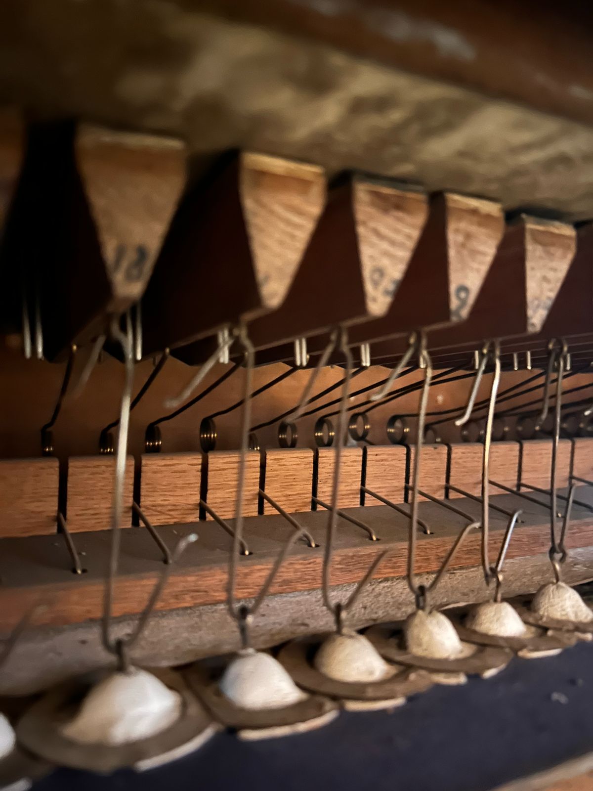 Imagen de WhatsApp 2025 03 26 a las 11.15.31 b9530059